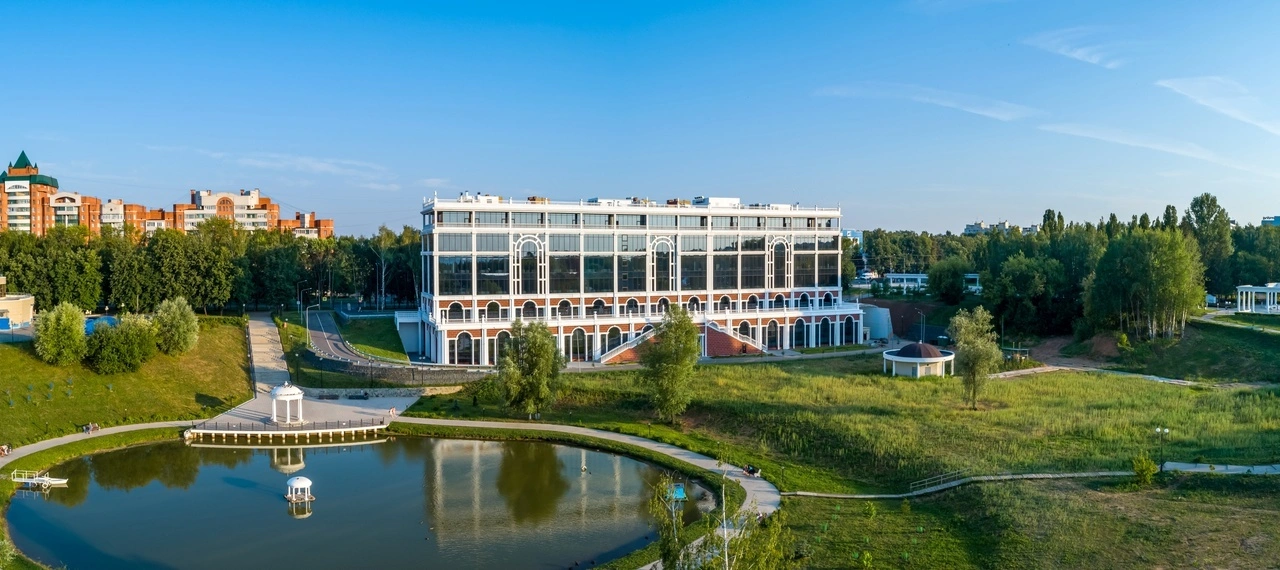 Art Jungle студия